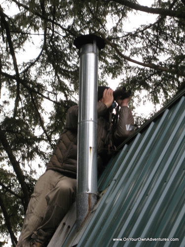 IMG_5192.JPG IMG_5192.JPG