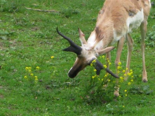034_34.jpg