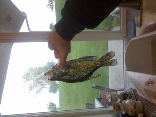 2010-05-30 20.12.37.jpg