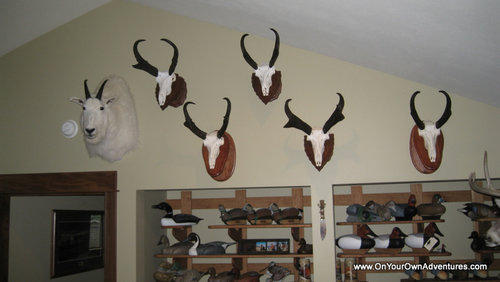 IMG_5241.JPG IMG_5241.JPG