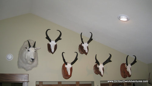 IMG_5243.JPG IMG_5243.JPG