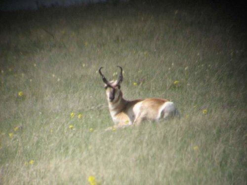 IMG_0073.jpg