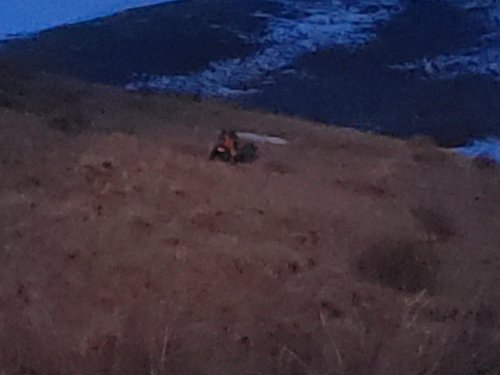20180324_203232.jpg 20180324_203232.jpg