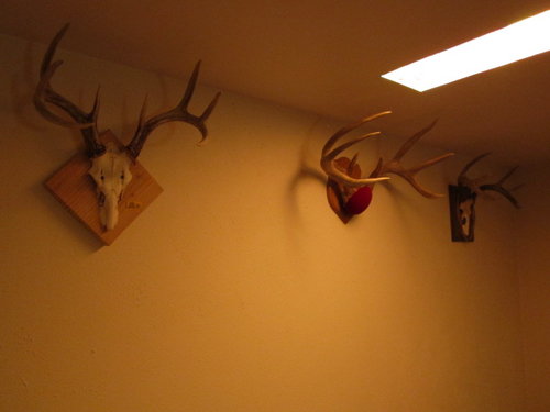 IMG_0658.JPG IMG_0658.JPG