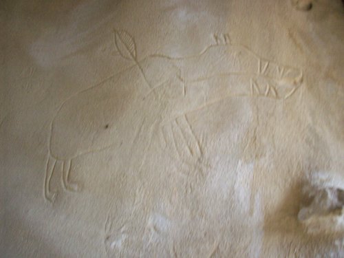 100_0217.JPG