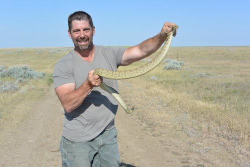 snake.jpg snake.jpg