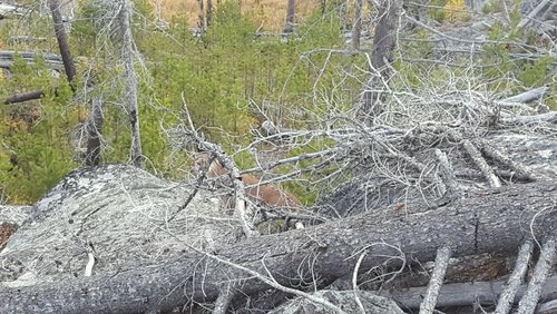20160927_185555.jpg 20160927_185555.jpg