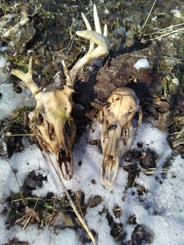 0316191623.jpg 0316191623.jpg