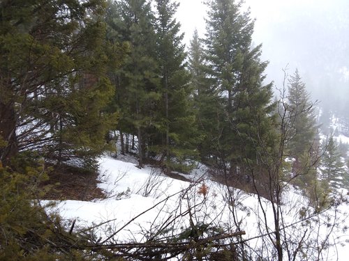 20190202_105131.jpg 20190202_105131.jpg