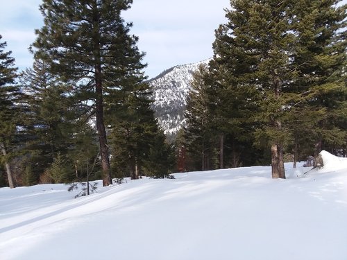 20190315_094134.jpg 20190315_094134.jpg