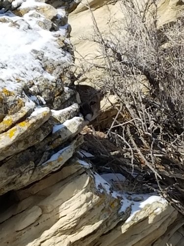 20181111_093804.jpg
