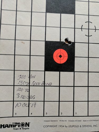 shot group.jpg shot group.jpg