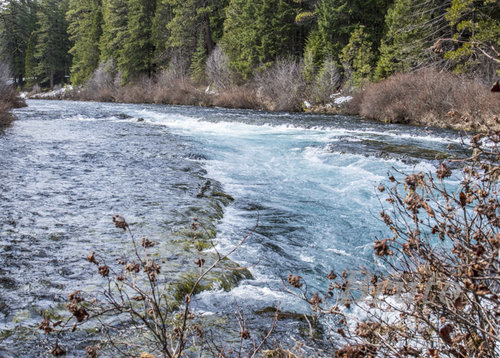 Metolius  River  a-0654.jpg