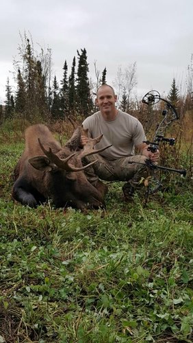 Archery moose.jpg