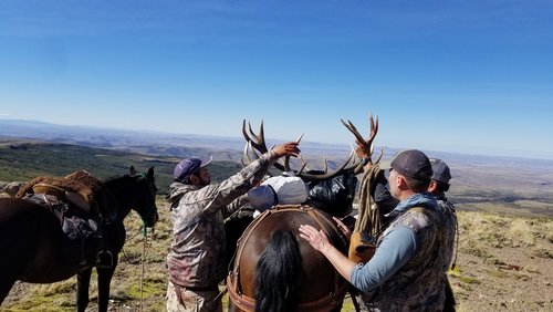 DAY 1 PACK OF HORNS.jpg