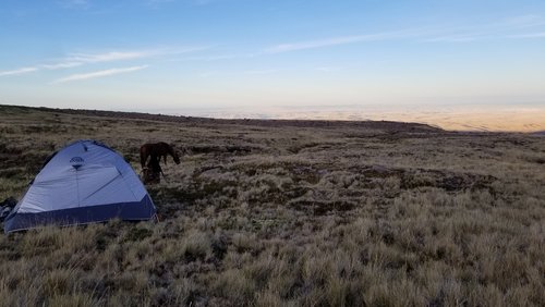 20190316_193758.jpg