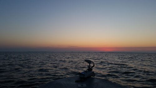 20190324_070732.jpg 20190324_070732.jpg