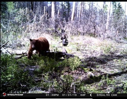 IMG_6149.jpg IMG_6149.jpg