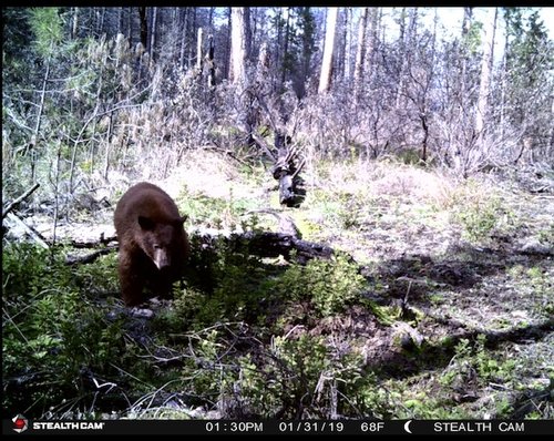 IMG_6151.jpg IMG_6151.jpg