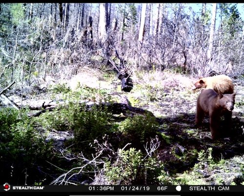 IMG_6160.jpg IMG_6160.jpg