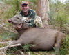 Daves Sambar Resize ii.jpg Daves Sambar Resize ii.jpg