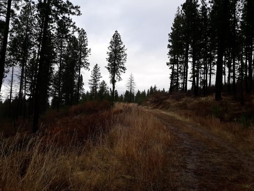 20181123_092927.jpg 20181123_092927.jpg
