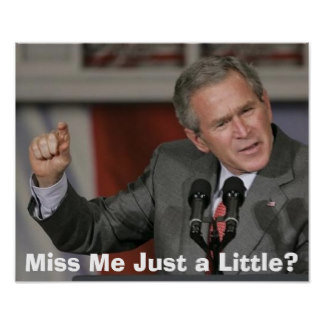 george_bush_miss_me_just_a_little_poster-r66617dac2c7f4a13a562b240e39b5c21_lfi_8byvr_324.jpg
