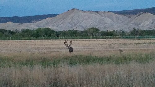 20180830_200455.jpg 20180830_200455.jpg