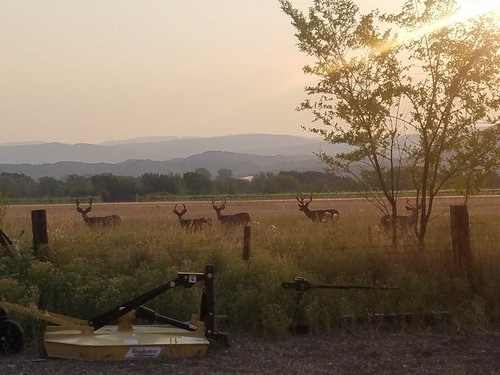 20180801_070920.jpg 20180801_070920.jpg