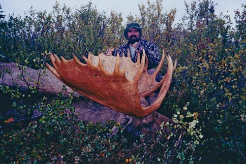AK Moose.jpg AK Moose.jpg
