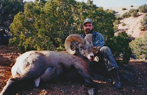 MT Ram.jpg MT Ram.jpg