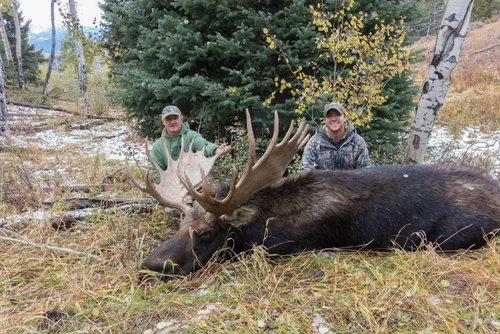 DadsMoose4.jpg DadsMoose4.jpg