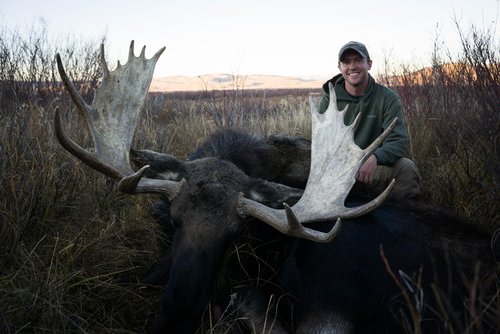 Moose4.jpg Moose4.jpg