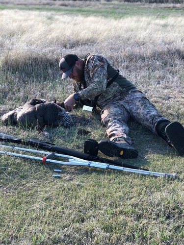 39451.jpeg 39451.jpeg