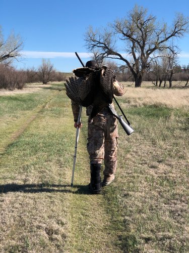 39455.jpeg 39455.jpeg