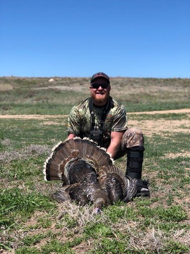 39453.jpeg 39453.jpeg