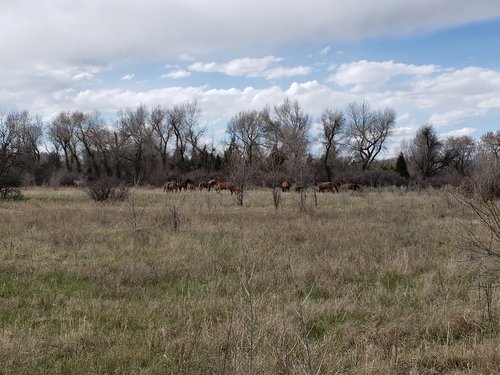 20190429_172727.jpg