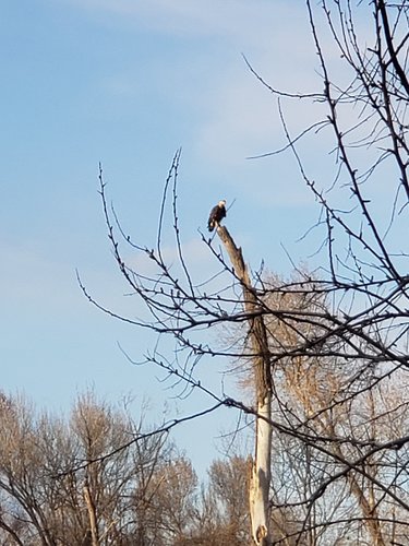 20190429_193231.jpg