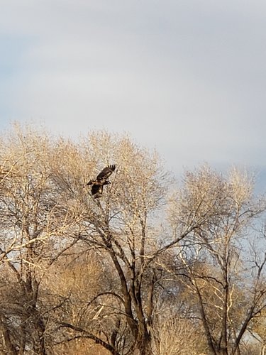20190429_193318.jpg