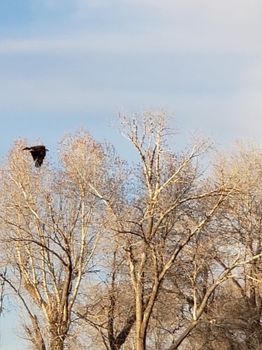 20190429_193317.jpg