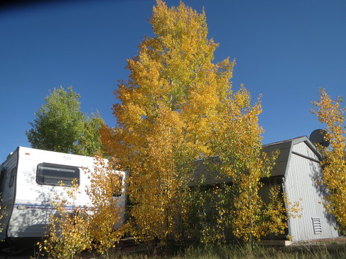 IMG_0429.JPG IMG_0429.JPG