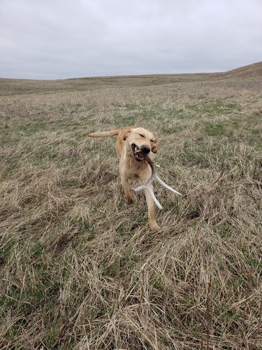 20190428_105322(0).jpg