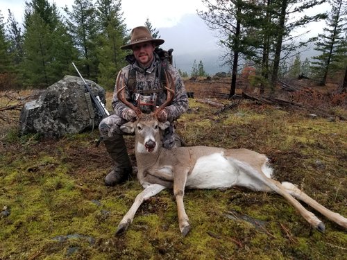 Brents Whitetail 11.4.18.jpg