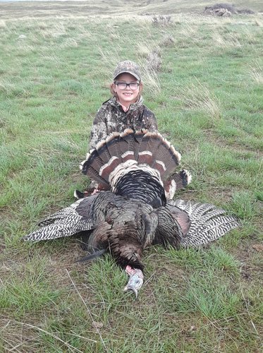 105629 105629