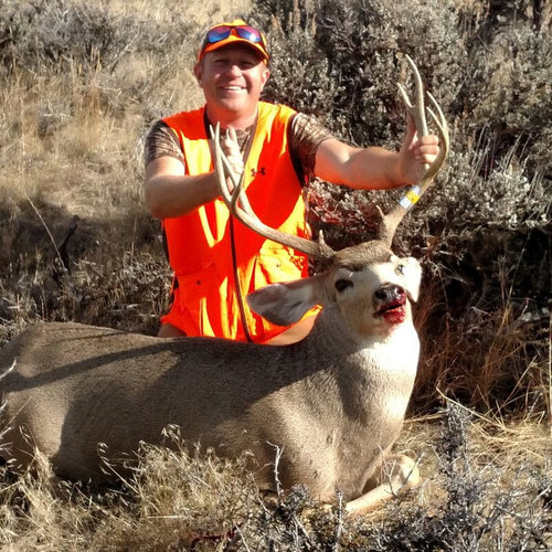 Colorado deer 2015 .jpg