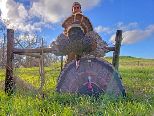 2019turkeynebraskasmall5.jpg 2019turkeynebraskasmall5.jpg