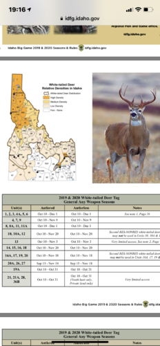 Northern Idaho whitetails | Hunt Talk