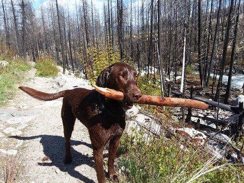 20190509_163526.jpg 20190509_163526.jpg