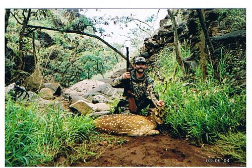 maui hunt 003.jpg