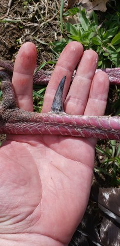 20190511_093956.jpg